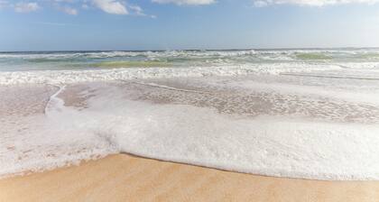 Beacher's Lodge 307 by Distinctive Beach Rentals