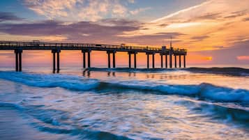 Appart'hôtel (1 Bedroom) | Équipement de l’hébergement