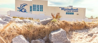 Beacher's Lodge 307 by Distinctive Beach Rentals
