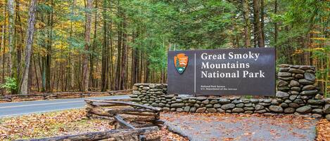 Studio (2 Bedrooms) | Property amenity