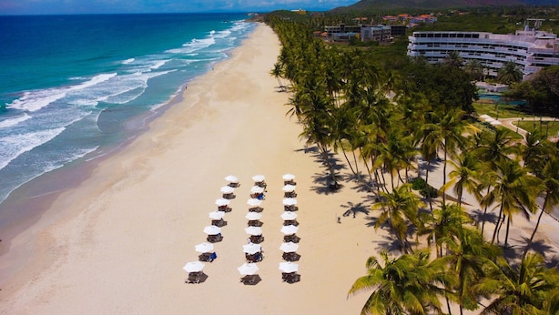Una playa con hileras de sombrillas y palmeras, un hotel al fondo y el océano.