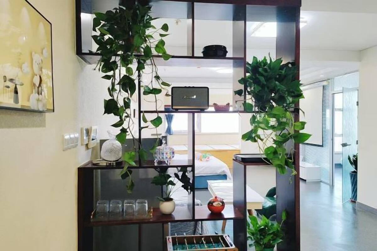 A modern interior with a glass partition, a laptop on a shelf, and potted plants.