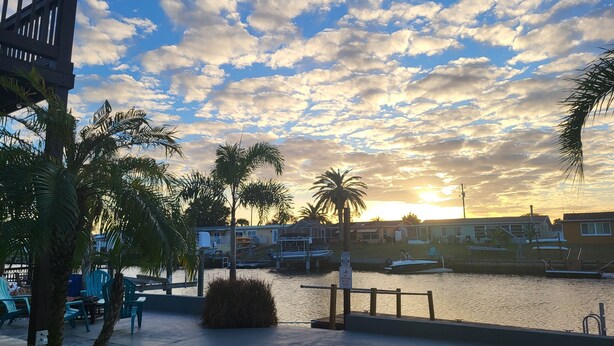 A waterfront promenade with palm trees, seating areas, and boats docked in the background. - Hudson oh beautiful Hudson (Hudson)