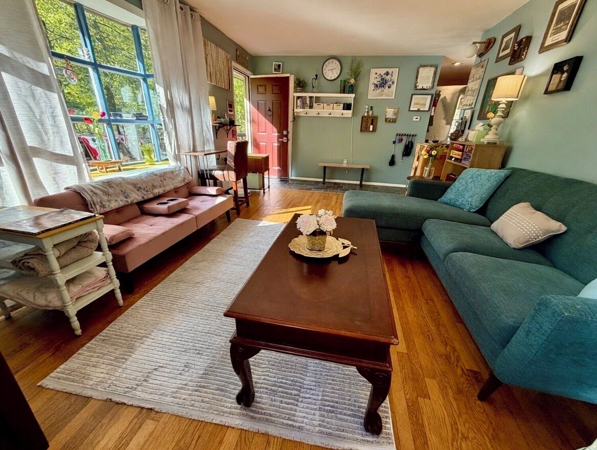 Smart TV, fireplace, books, music library