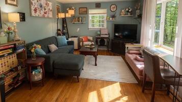 Smart TV, fireplace, books, music library