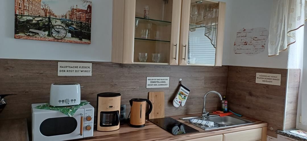 Frigorífic, microones, placa de cuina i cafetera i tetera 