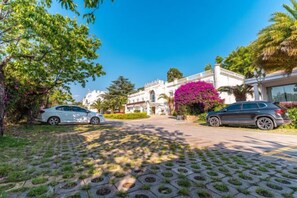 Un camino pavimentado que conduce a un edificio con fachada blanca y un gran árbol de flores rosadas.