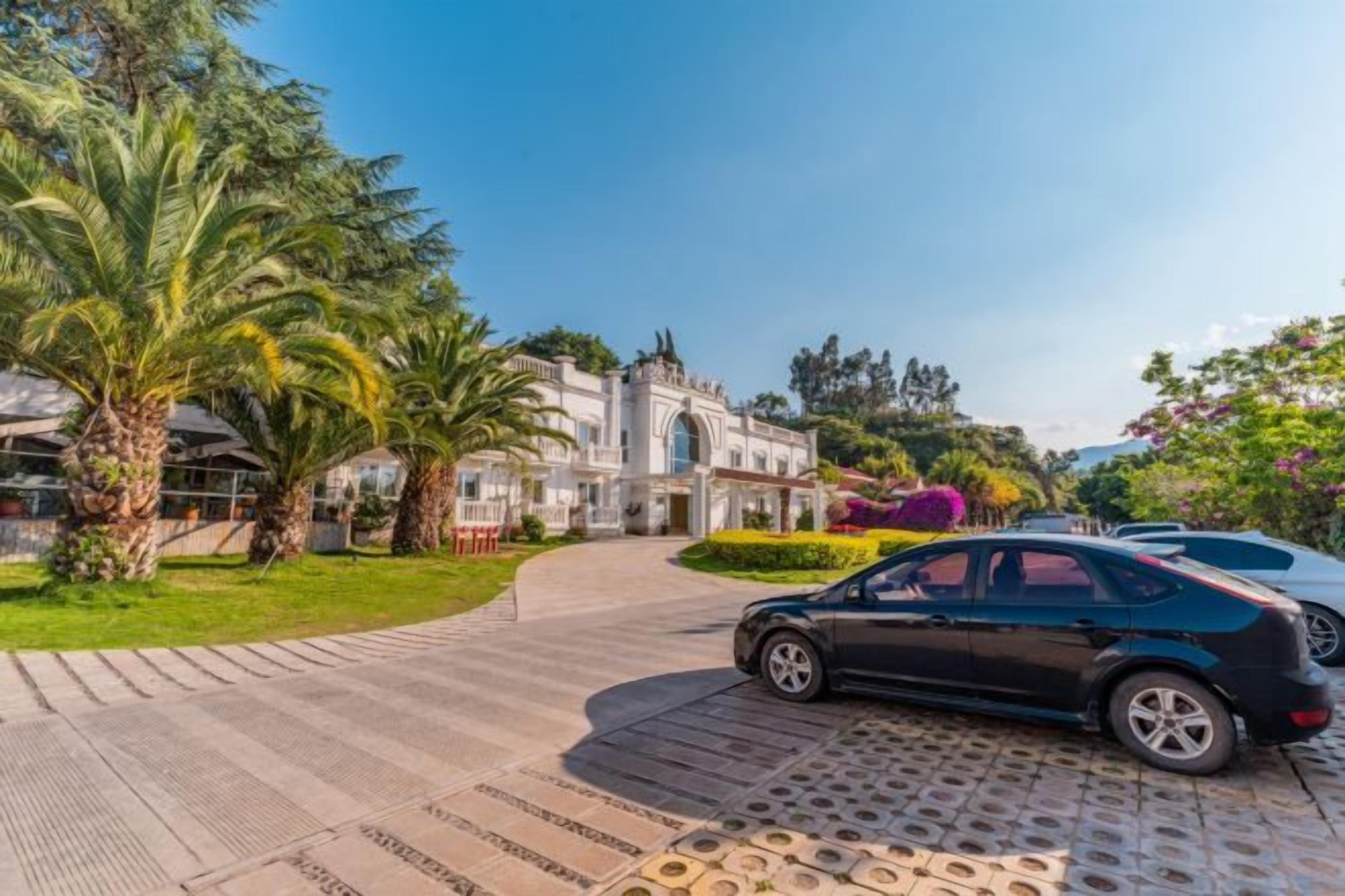 A paved driveway leading to a building with a curved entrance, palm trees, and a parked car.