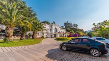A paved driveway leading to a building with a curved entrance, palm trees, and a parked car.