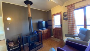 Una sala de estar con chimenea, televisión, sofá y un perro.