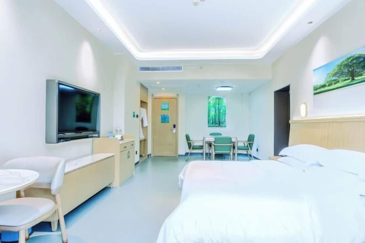 Habitación de hotel con cama, televisor, escritorio y silla.