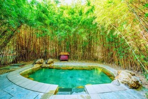 Pool - Qingyuan Fogang ShamPoola Forest Hotel (Fogang)