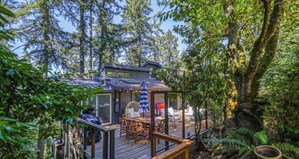 Luxury 4-bedroom house with Spa, Pool Table, and Amazing views! Close to Campus!