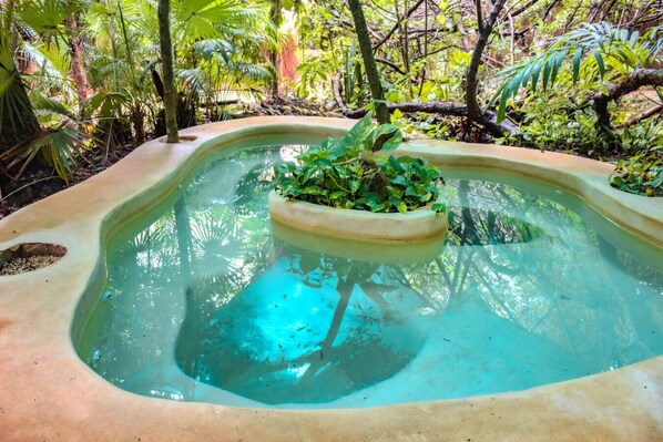 Àrea exterior de l'allotjament