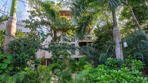 Um jardim exuberante com folhagem densa e um edifício com varandas.