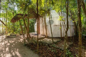Una casa en los árboles apartada con un ventanal circular, rodeada de follaje denso y un letrero que dice 'Semilla'.