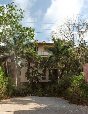 Property grounds - Jungle Loft Suite - Santuario Hotel Boutique (Tulum)