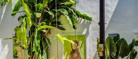 Overnatningsstedets område