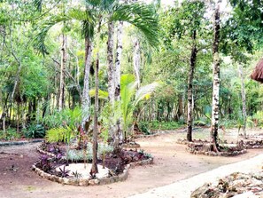 المنطقة المحيطة بالمنشأة