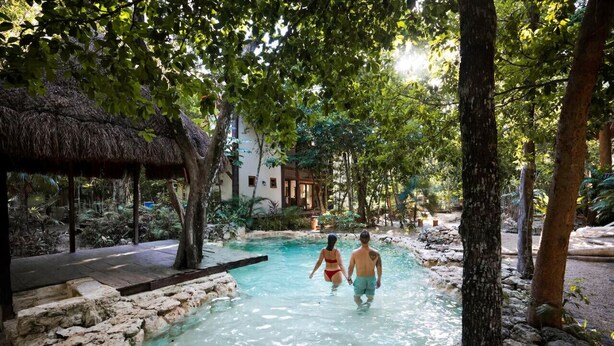 Une piscine naturelle entourée d’arbres et une structure surmontée d’un toit de chaume.