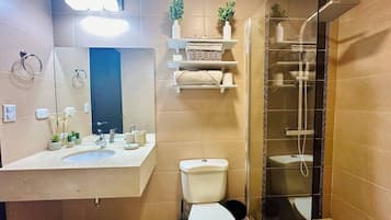 Regadera, secadora de cabello, jabón, papel de baño