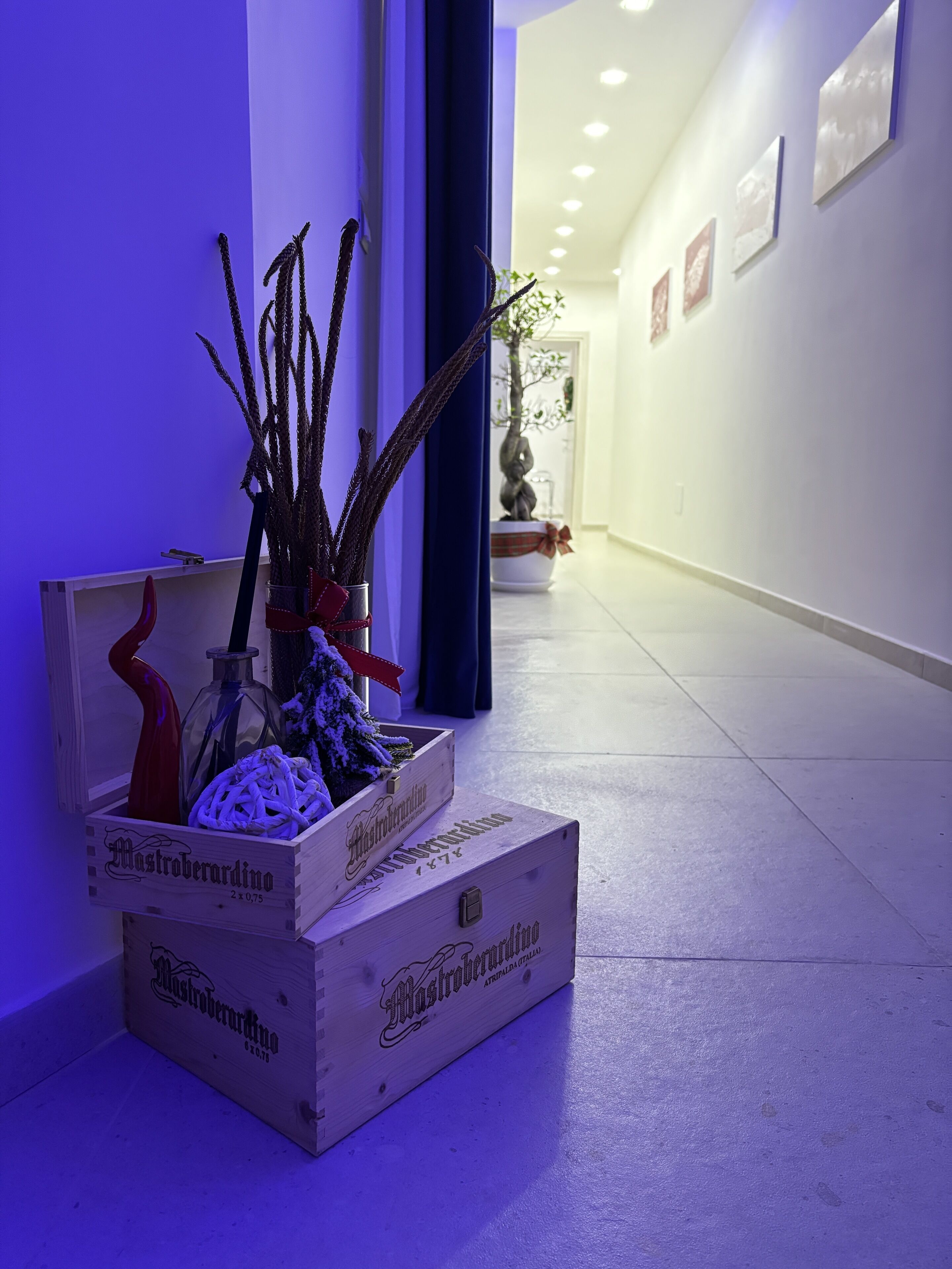 A hallway with a wooden crate containing a bottle and decorative items, a potted plant, and framed pictures on the wall.