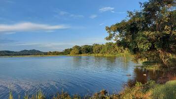 A calm lake with a grassy shoreline and trees.
