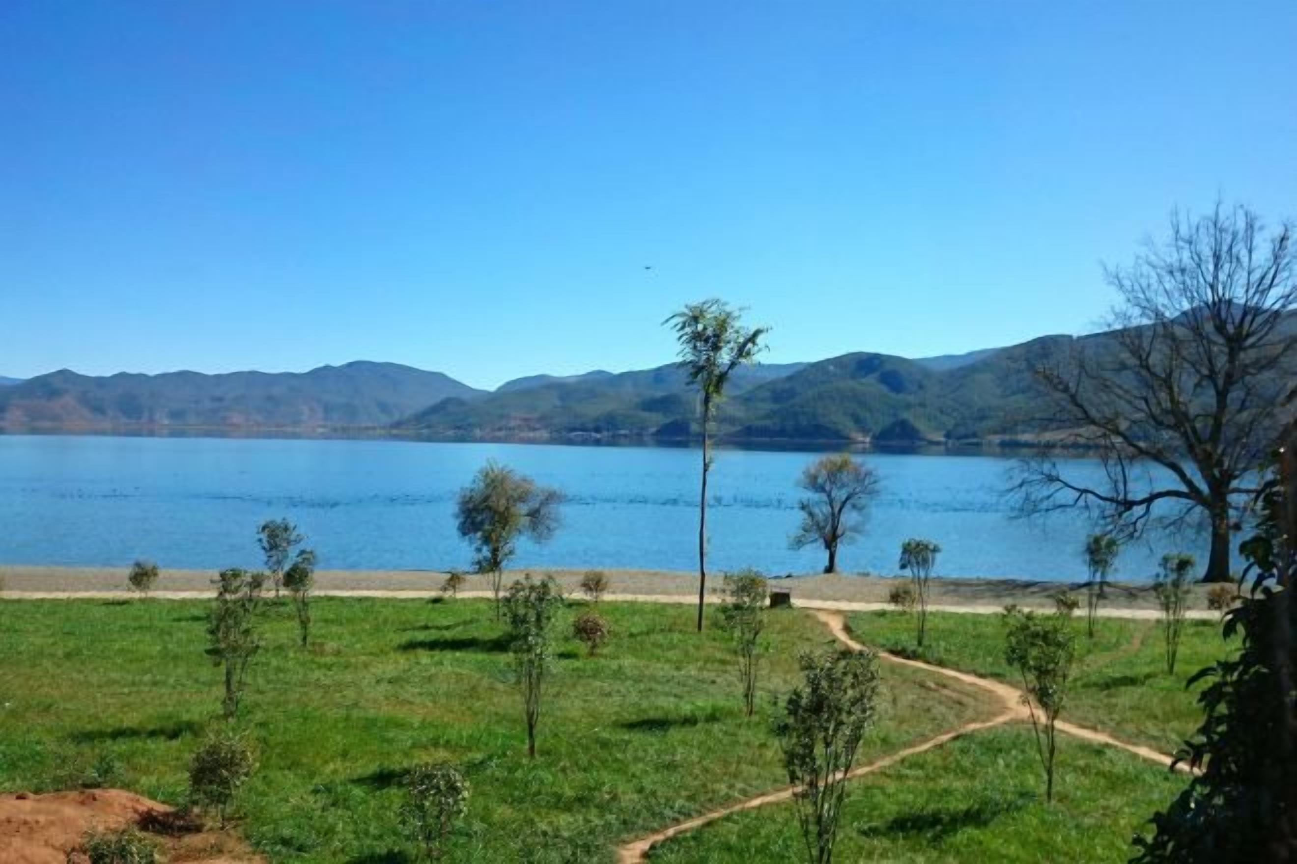 A clear view of a lake with a path leading to a grassy area with trees.