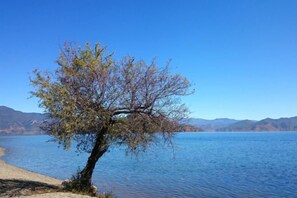 Unclassified image, 4 of 27, button - Cuihu Bay Homestay (Lugu Lake Daluoshui Wharf) (Ninglang)