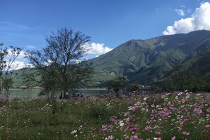 Unclassified image, 2 of 27, button - Cuihu Bay Homestay (Lugu Lake Daluoshui Wharf) (Ninglang)