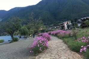 Miscellaneous - Cuihu Bay Homestay (Lugu Lake Daluoshui Wharf) (Ninglang)