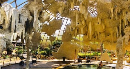 Dali Geothermal Paradise Hotel