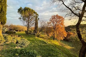 Property grounds - Orvieto Casale "Podere Selvatto" (Umbria)