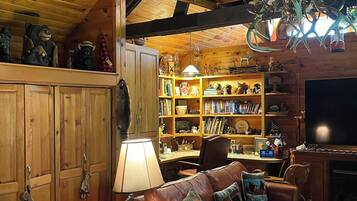 TV, fireplace, books