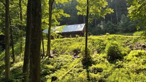 Une zone boisée avec un bâtiment dont le toit est en métal.