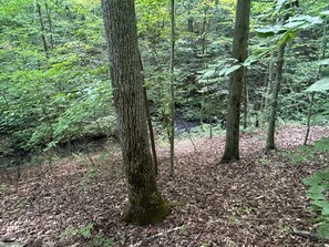 Property grounds - Charming 2-bedroom house with WiFi and AC in Ashland City on 8acres near marina! (Ashland City)