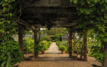 A garden pathway under a wooden pergola with potted plants on either side.