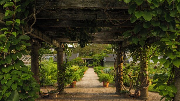 A garden pathway under a wooden pergola with potted plants on either side. - Langdon Hall Country House Hotel & Spa (Cambridge)