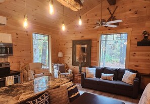 Älytelevisio, kirjoja