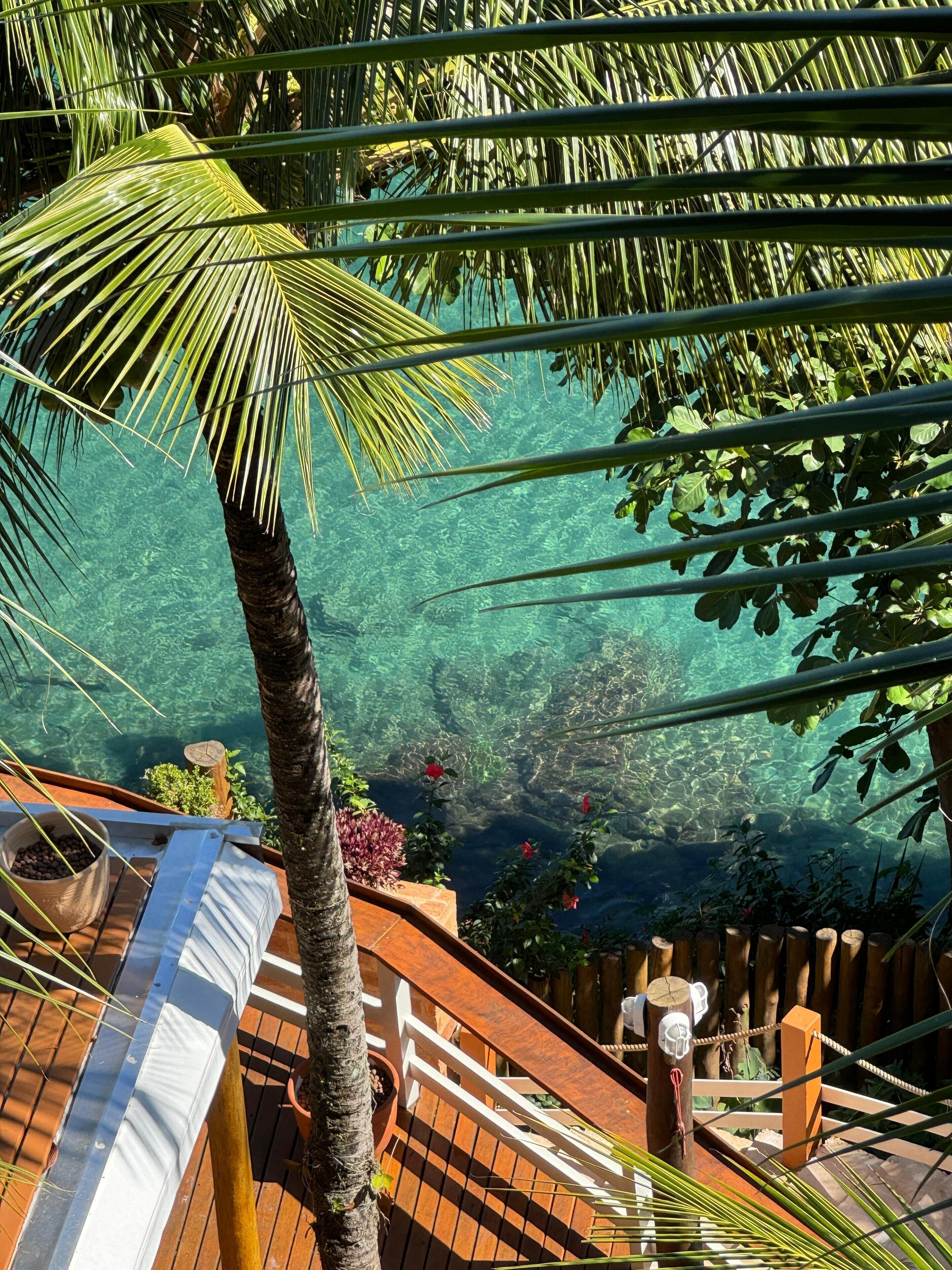 Una terraza de madera con una palmera, agua cristalina y barandilla de madera.