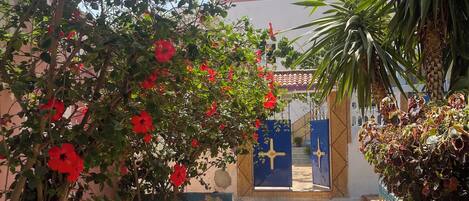 Terrein van de accommodatie