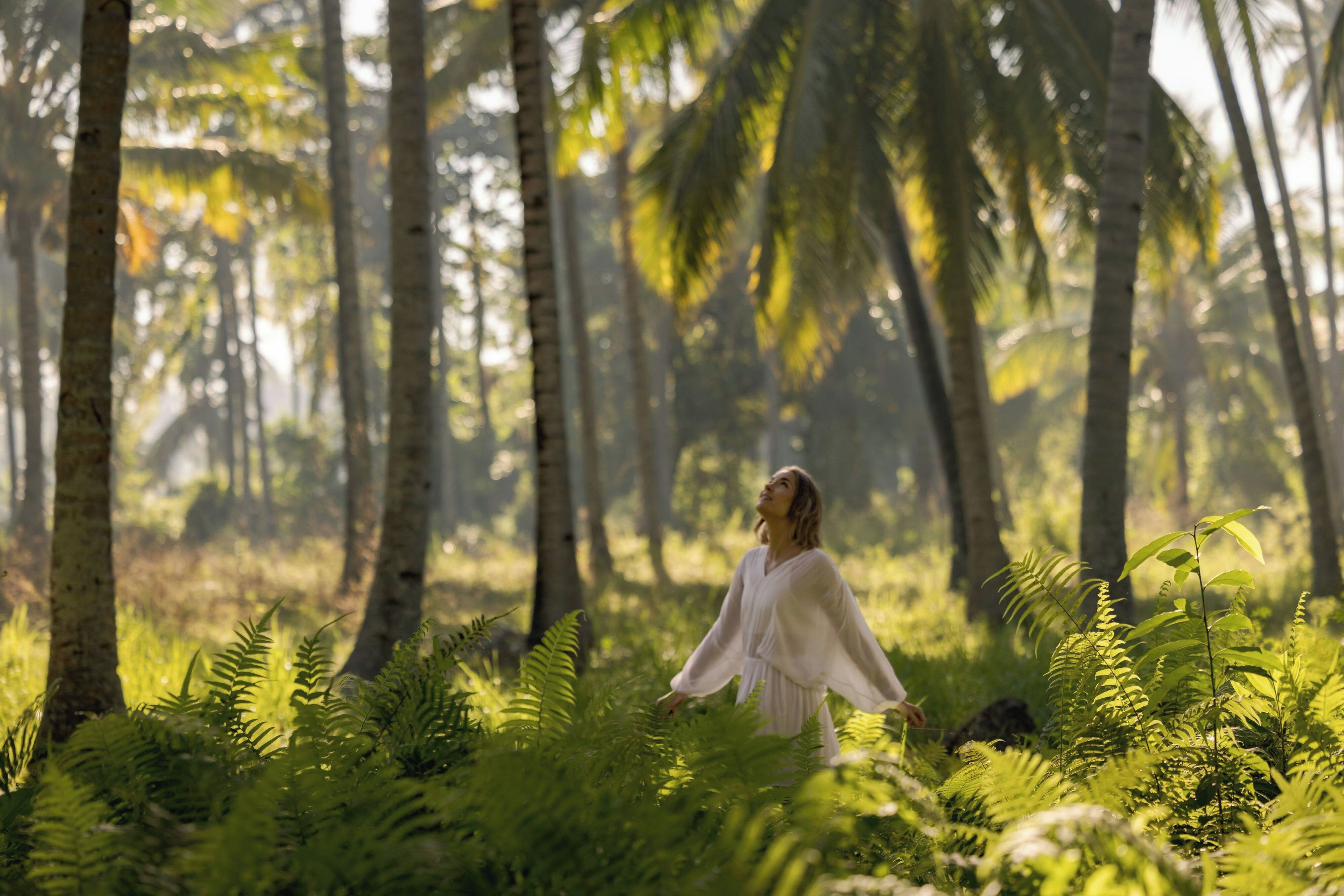 A person in a white robe standing in a lush green forest with tall trees and ferns.