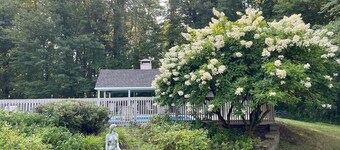 Spacious 5-Bed with Pool, Firepit, and BBQ - 20-min to Saratoga and Lake George