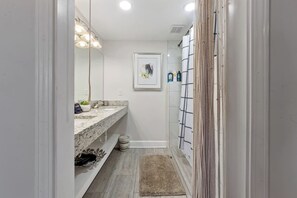 A narrow bathroom with a vanity, mirror, and shower area. - Terrace, Skyline View, Downtown, Restaurant & Bars (Atlanta)