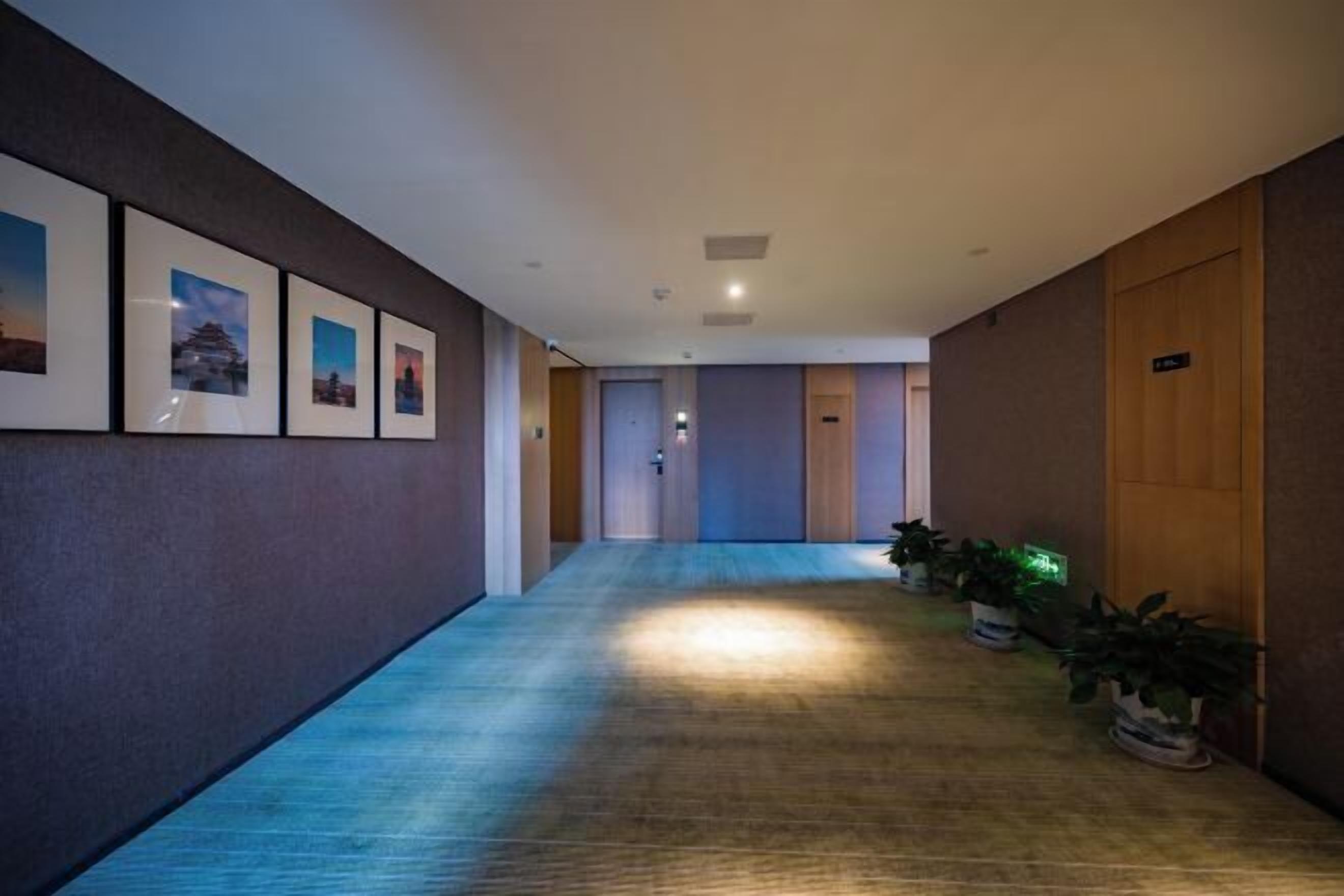 A hallway with framed pictures on the wall, a carpeted floor, and potted plants along the right side.
