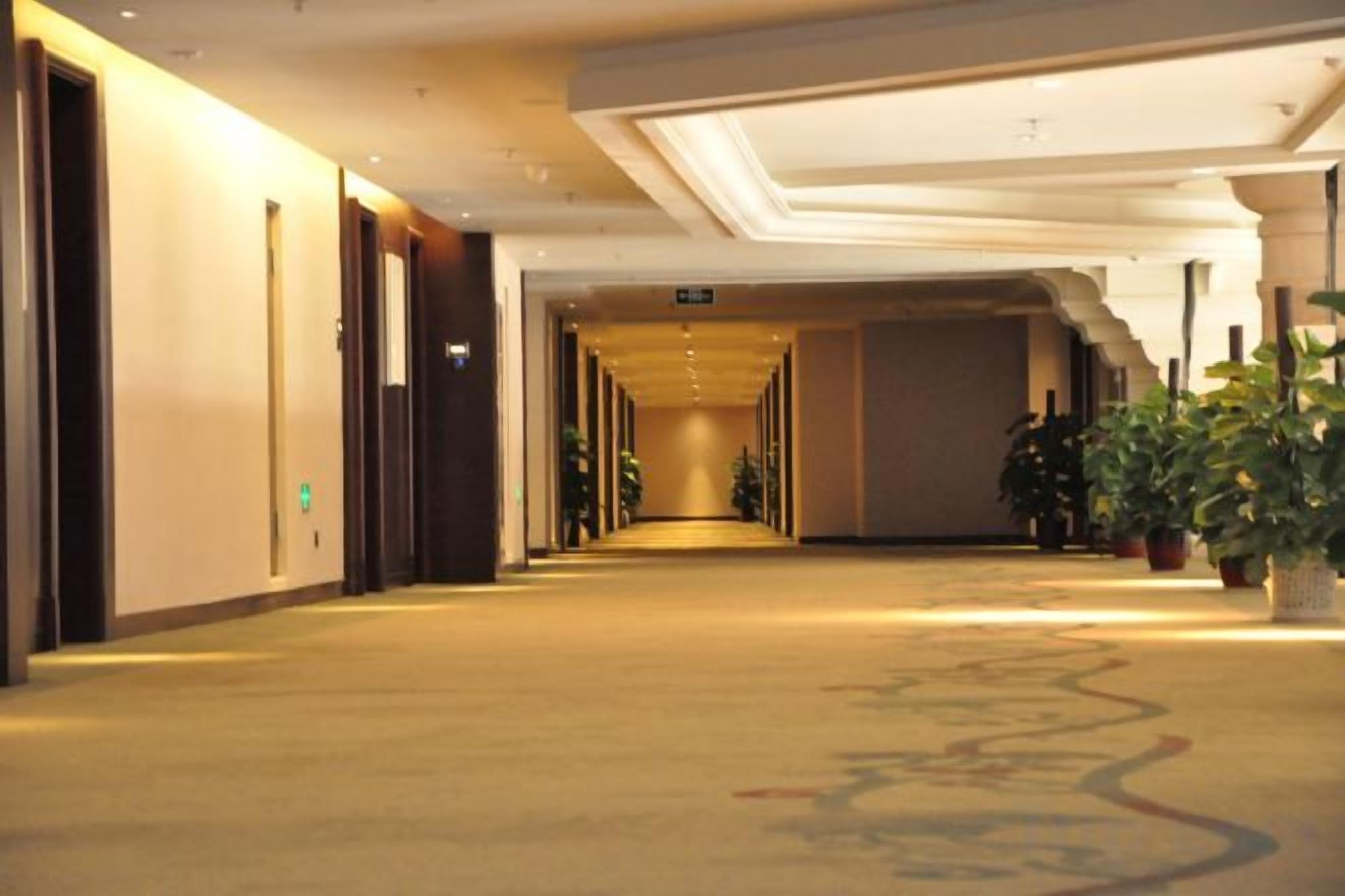 Pasillo de hotel con puertas a ambos lados, piso alfombrado y plantas en macetas a lo largo de la pared derecha.