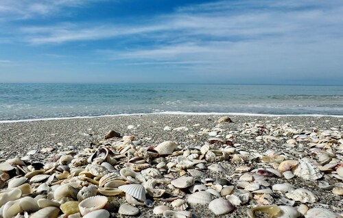 Charming Longboat Key Bungalow minutes from beaches, restaurants, parks