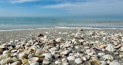 Charming Longboat Key Bungalow minutes from beaches, restaurants, parks