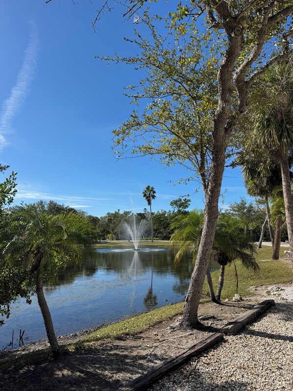 Un parc paisible avec un étang, une fontaine et des palmiers.