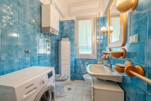 Shower, hair dryer, bidet